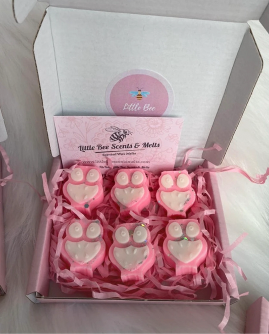 Autumn Owl Scented Gift Box