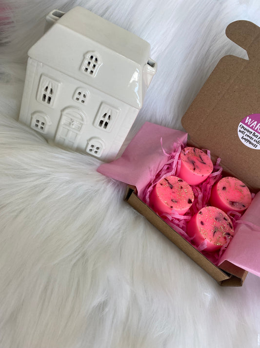 Ceramic House Burner & Wax Melts Gift Set