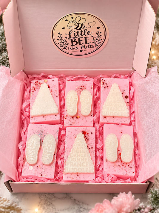Christmas Wax Melt Gift Box | Festive Scented Wax Melts | Christmas Gift for Her | Little Bee Wax Melts