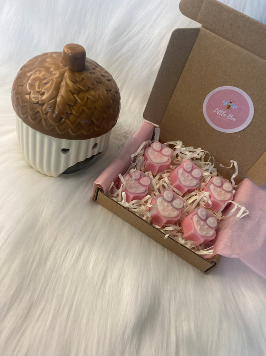 Acorn Burner & Wax Melts Gift Set